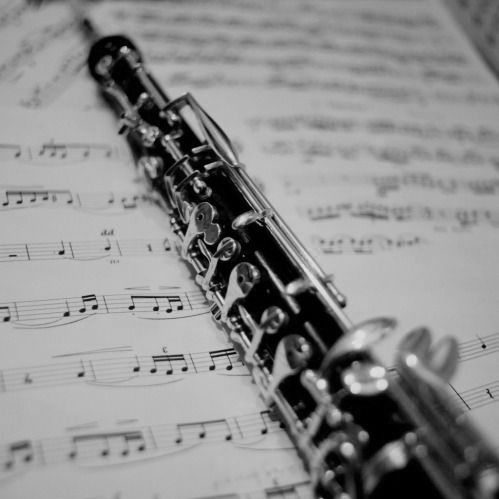 Corsi di Musica Centro Formazione Musicale Riccardo Mosca Oboe Casa della Musica